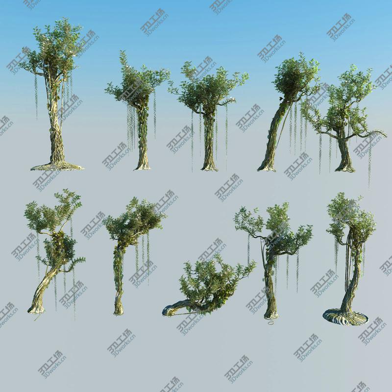 images/goods_img/20210113/Rain Forest ecosystems Pack 10/5.jpg